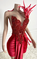 Cassandra Red Sparkly Feathered Birthday Dress