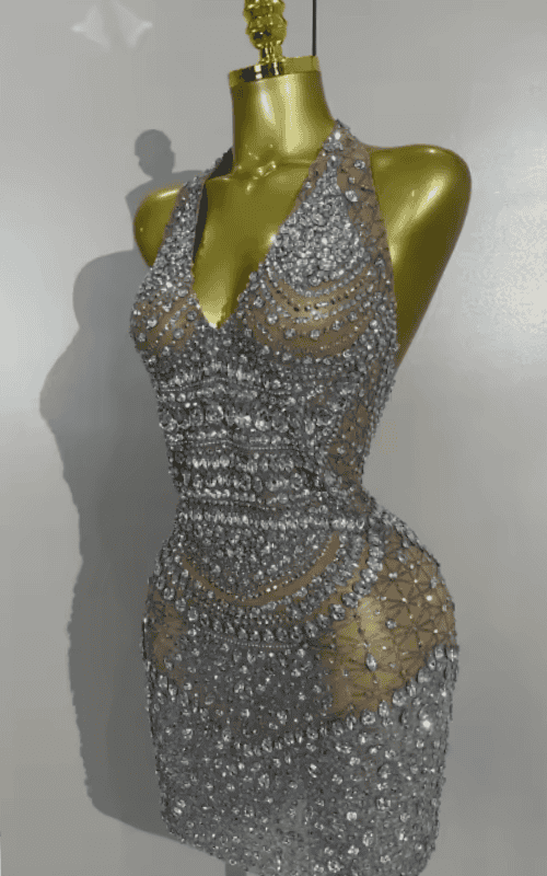Candice Sparkly Rhinestone Backless Sheer Mesh Bodycon Mini Dress