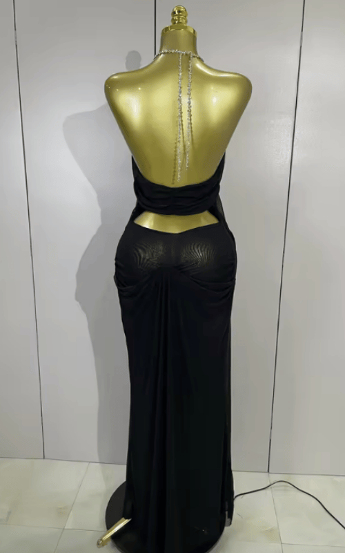 Amanda Sheer Mesh Halter Low Neck Backless Sleeveless Long Dress