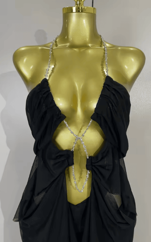 Amanda Sheer Mesh Halter Low Neck Backless Sleeveless Long Dress