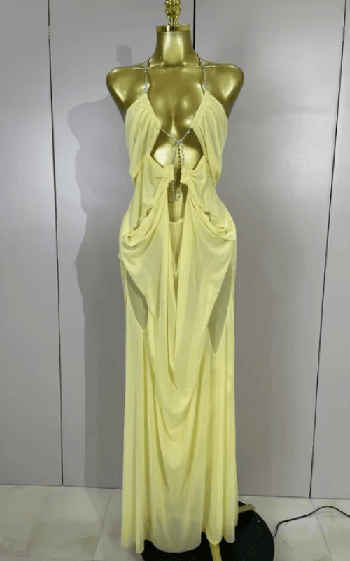 Amanda Sheer Mesh Halter Low Neck Backless Sleeveless Long Dress