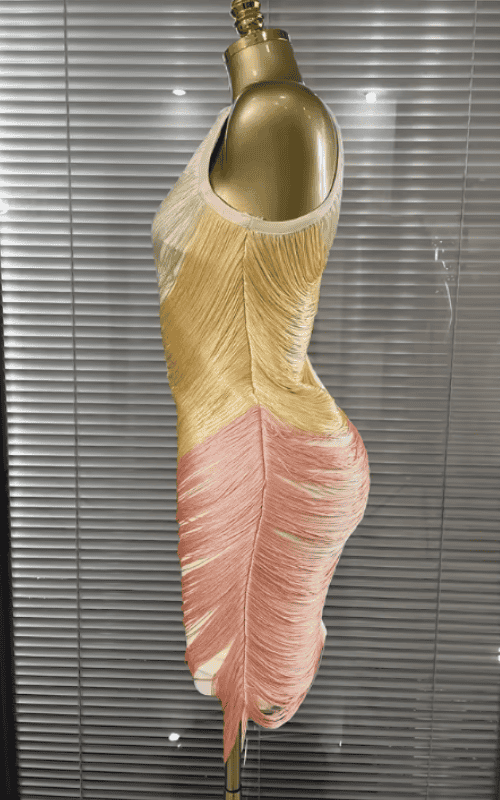 Beth Off Shoulder Tassel Bodycon Bandage Mini Birthday Dress