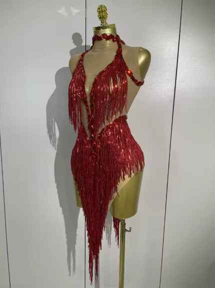 Alyson Sexy Sheer Mesh Dress with Sequins and Fringe