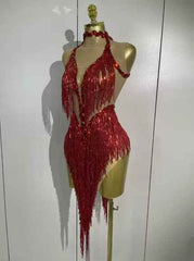 Alyson Sexy Sheer Mesh Dress with Sequins and Fringe