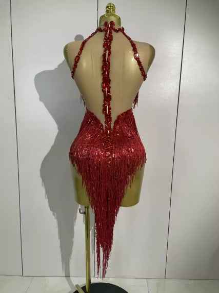 Alyson Sexy Sheer Mesh Dress with Sequins and Fringe