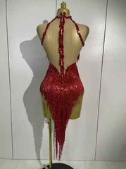 Alyson Sexy Sheer Mesh Dress with Sequins and Fringe