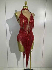 Alyson Sexy Sheer Mesh Dress with Sequins and Fringe