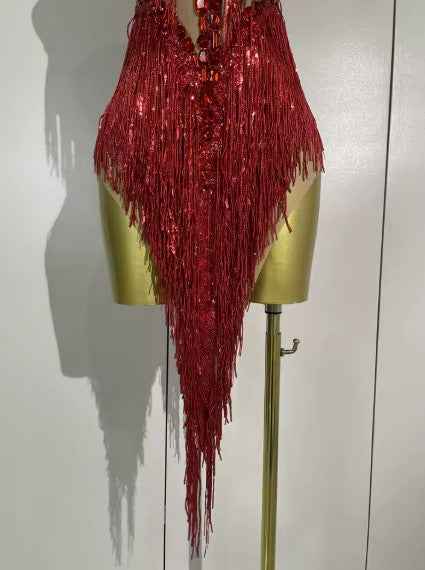Alyson Sexy Sheer Mesh Dress with Sequins and Fringe